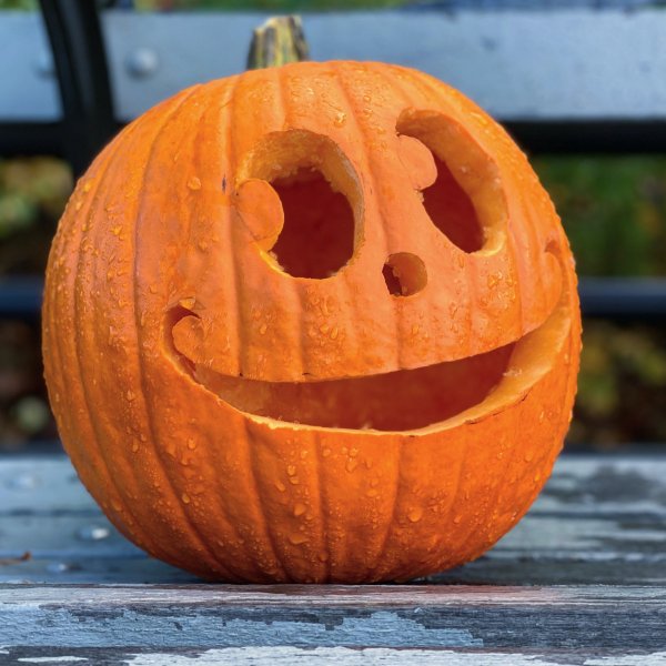 Halloweensaker i secondhandbutikerna!