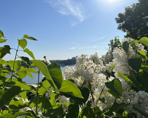 Sommar&ouml;ppettider i Tumba