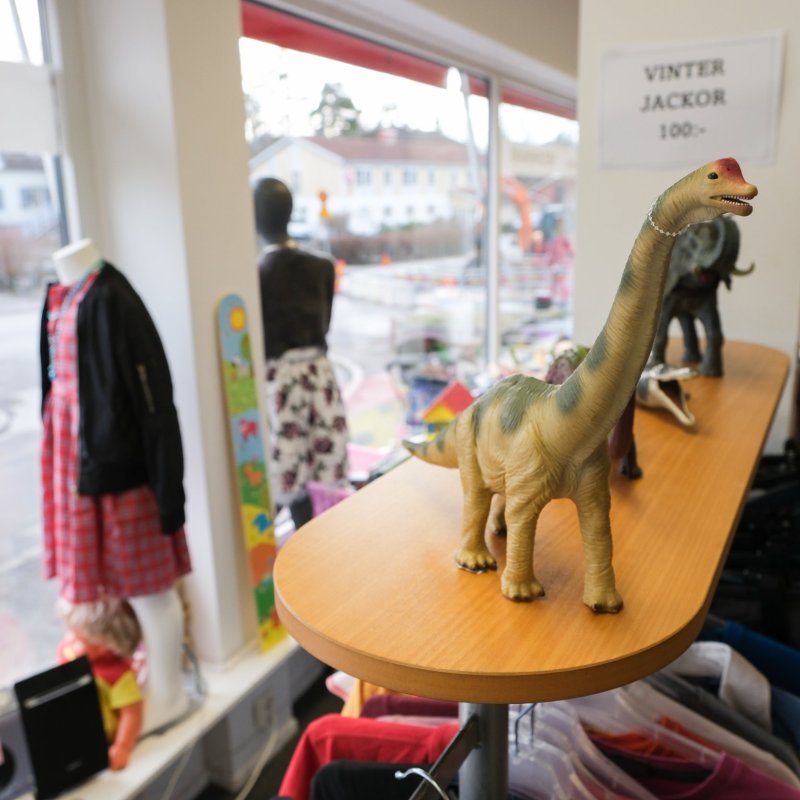 Dino